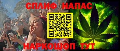 шишки Саяногорск