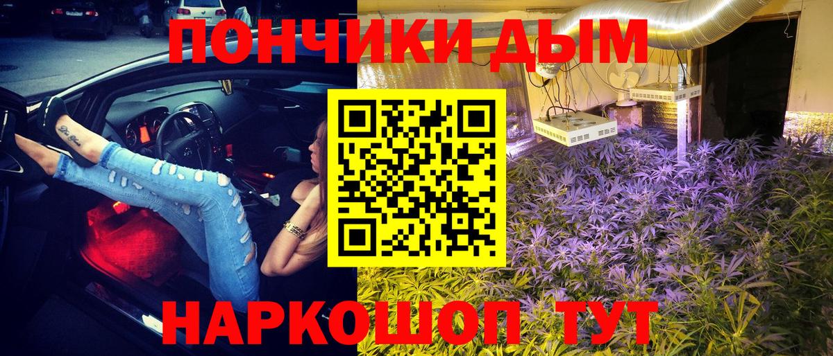 Каннабис OG Kush Дмитров
